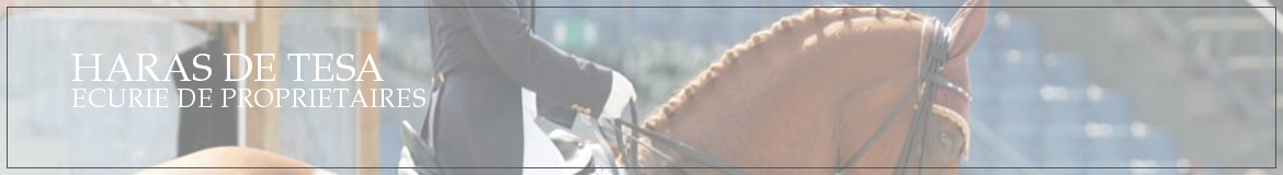 HARAS DE TESA